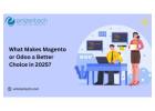 What Makes Magento or Odoo a Better Choice in 2025?