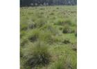 12,000 Acres for sale in Laikipia KENYA 200K/Acre