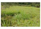 25 Acres for sale at Karen along Karen - Lang'ata Road KENYA Ksh. 78M/Acre