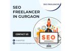 SEO Freelancer Gurgaon – Expert SEO Services in Gurgaon