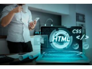 Boost Your Digital Growth with a Professional Web development company in India
