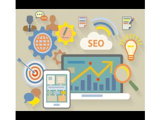 Freelance SEO Expert in Delhi