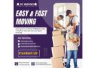 Professional Movers and Packers in Dubai