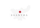 Elegance Crafted by Hand – Shop Saantha Handloom Sarees
