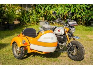 Sidecar Kit for Honda Monkey 125 by Scooter99 Ready to Ride