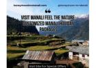 Best Manali Holiday Tour Packages | Honeymoon inn