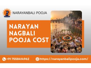 Narayan Nagbali Puja And Kaal Sarp Puja Booking At Trimbakeshwar