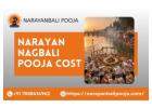 Narayan Nagbali Puja And Kaal Sarp Puja Booking At Trimbakeshwar