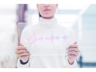 Voice service providers in India