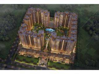 Top 10 Developers in Noida Extension | Nirala World