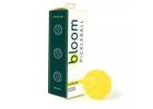 Bloom Club 40 Outdoor Pickleballs Pack of 3 Perfect for Practice and Clubs
