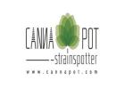 Cannapot rs11 strain feminisierte Samen für Indoor und Outdoor
