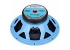 Powerful 12 Inch Ferrite Speaker for DJ Sound Systems