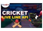 Cricket Odds API: Real-Time Betting Odds for Smarter Sports Platforms