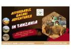 Affordable Safari Adventures in Tanzania – Budget-Friendly Wildlife Tours