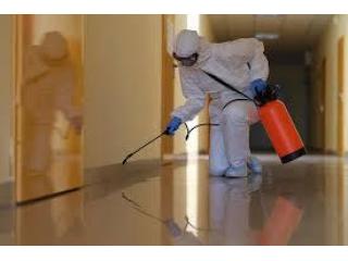 Get the Best Pest Control Sharjah Services