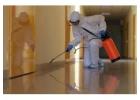 Get the Best Pest Control Sharjah Services