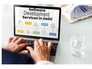 Leading Software Development Services in Delhi