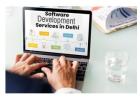 Leading Software Development Services in Delhi
