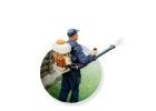 Pest Control Penrith
