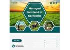 Fully Developed Managed Farm Plots in Karnataka