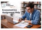 Professional Econometrics Support for University Students