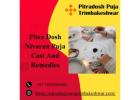Pitra Dosh Nivaran Puja Cost And Remedies