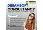  Reliable Career Assistance by DreamSoft Chennai