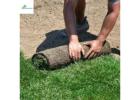 SOD Installation Near Me Offering Fresh Lawn Transformations