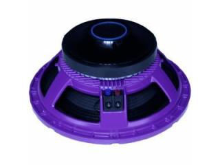High Output 15 Inch Ferrite DJ Speaker