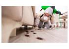 Best Pest Control Services in Hyderabad – AJL Pest Control