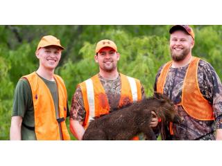 Explore Public Hog Hunting Opportunities in Texas