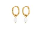 Shop Wholesale Hoop Earrings for Bulk Orders and Retail Collections