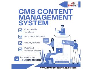 Professional CMS Content Management System for Easy Website Management