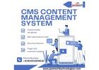 Professional CMS Content Management System for Easy Website Management