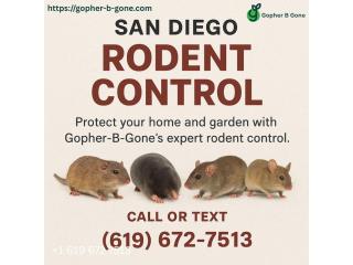 San Diego Gopher & Rodent Control – Safe, Effective, Local