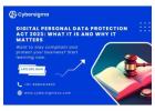 Digital Personal Data Protection Act 2023: What It Is and Why It Matters