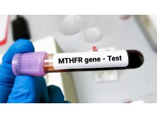 MTHFR Gene Mutation Test in Delhi