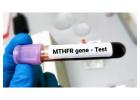MTHFR Gene Mutation Test in Delhi