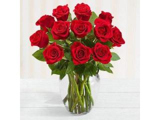 Midnight Flower Delivery in Chennai Order Online Now