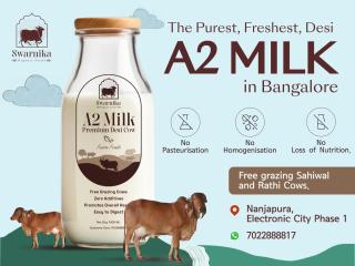 desi cow a2 milk in electronic city