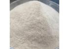Ferrous Sulfate Monohydrate
