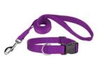 Buy Dog Leashes Online Safe Strong and Stylish