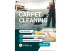 How to Choose an Affordable Carpet Cleaning Company ?