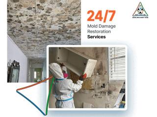 Safe Homes Start Here – Expert Mold Remediation Sanford