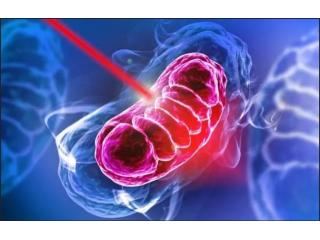 Red Light Therapy London – Advanced Healing & Skin Rejuvenation