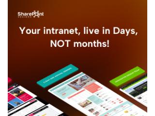 Free Intranet Audit | SharePoint Consulting Services