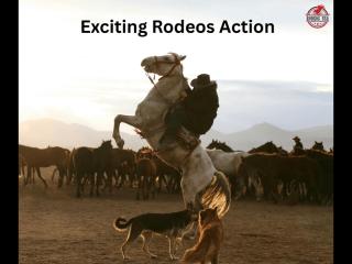 Experience the Best Live Rodeo Action Across Idaho