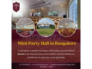 Mini Party Hall in