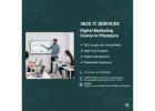 Grow Your Career with NICE IT Services